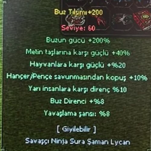  Buz Tılsımı +200 + Kusursuz Yakut